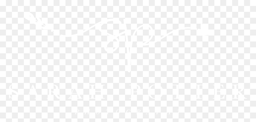 Johns Hopkins Logo White, HD Png Download - menu board png