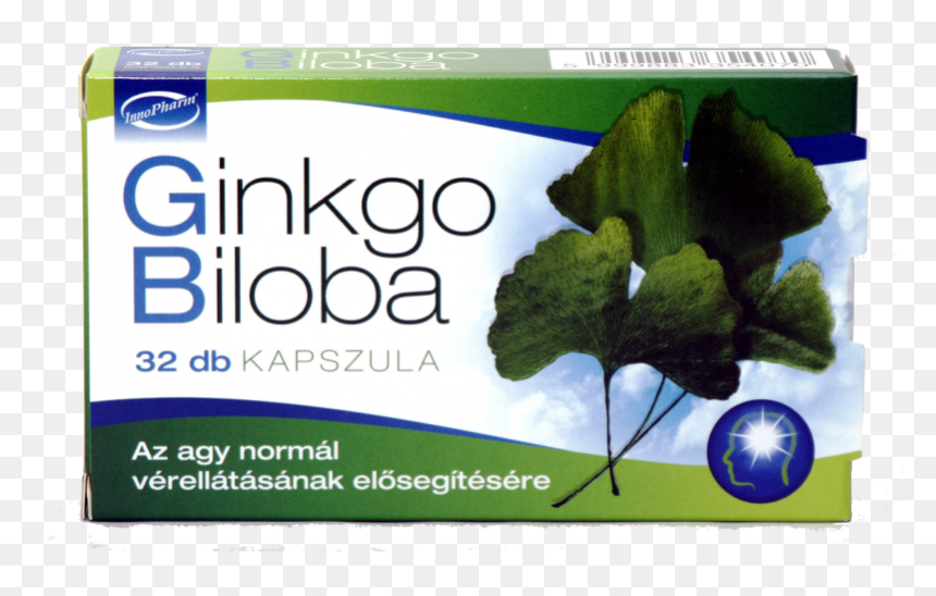 Ginkgo Biloba, HD Png Download - ginkgo tree png