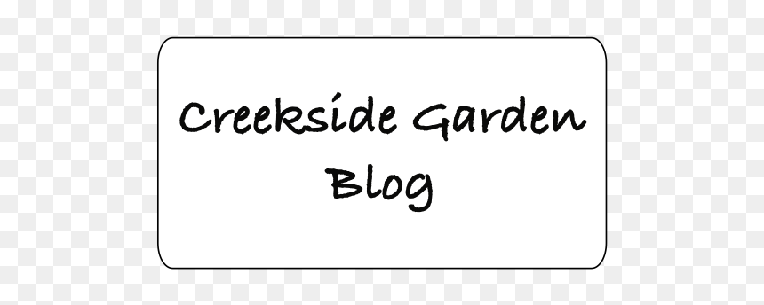 Liderlac, HD Png Download - pansies png