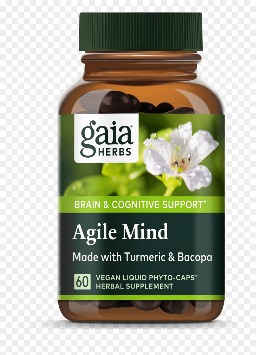 Gaia Herbs, HD Png Download - ginkgo tree png