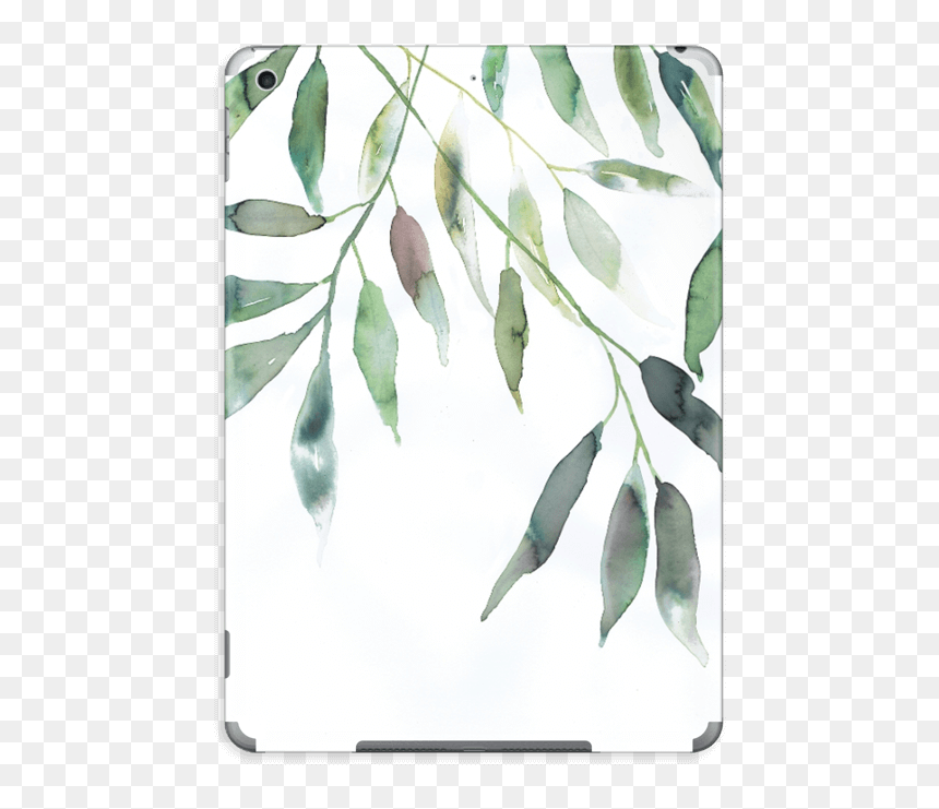 Ramas De Olivo En Png, Transparent Png - olive leaves png