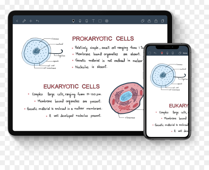 Gadget, HD Png Download - taking notes png