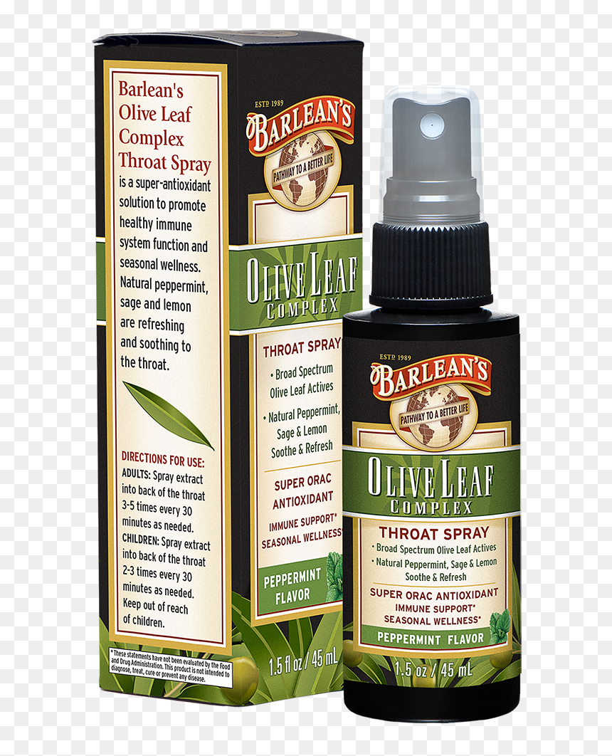 Metro Star Home Health Products, HD Png Download - olive leaves png