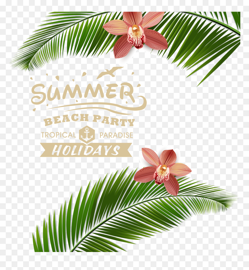 Summer Party Vector Png, Transparent Png - beach clip art png