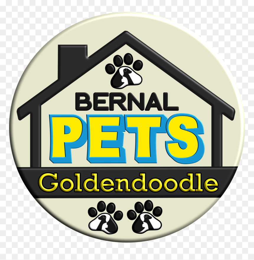 Circle, HD Png Download - golden doodle png