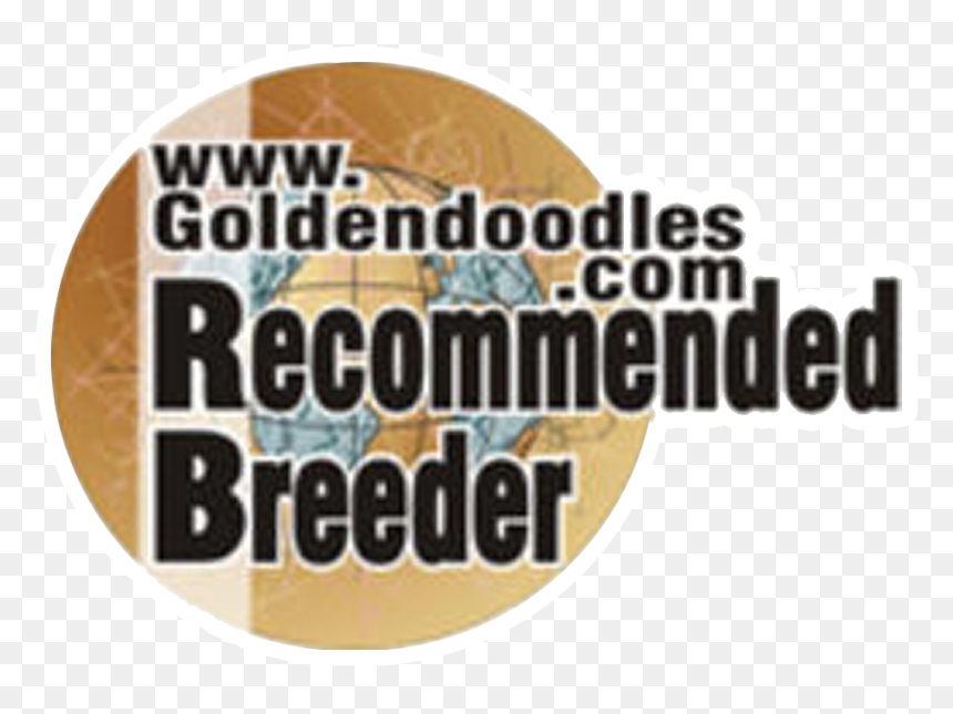Graphic Design, HD Png Download - golden doodle png