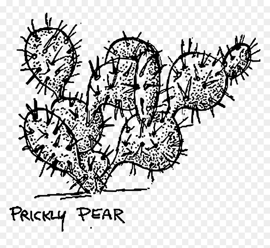 Prickly Pear Black And White, HD Png Download - cactus.png
