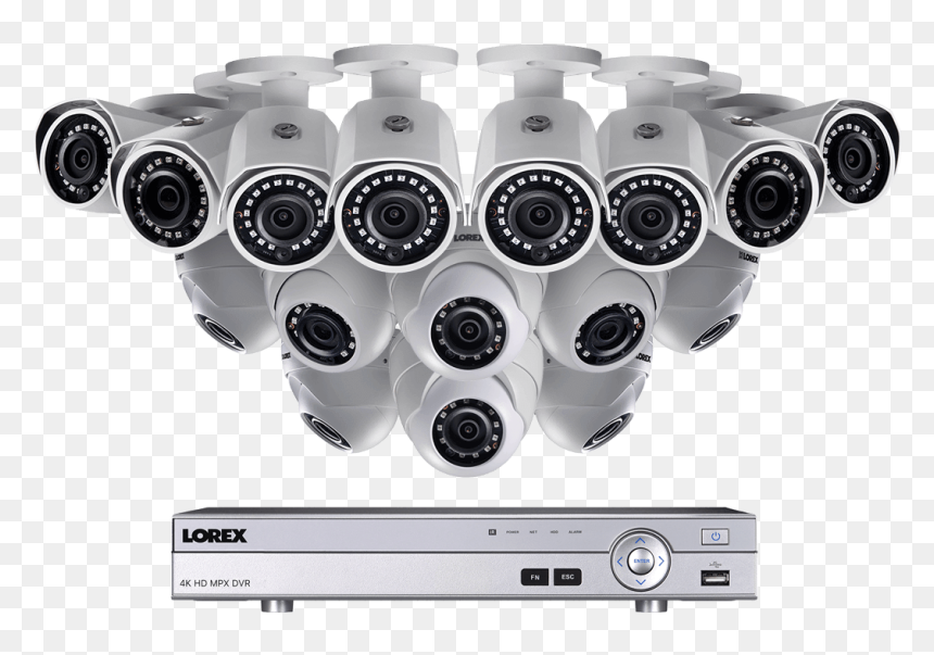 Ip Camera, HD Png Download - lorax trees png