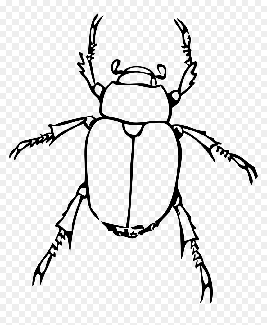 Drawing Of A Bug, HD Png Download - lorax trees png