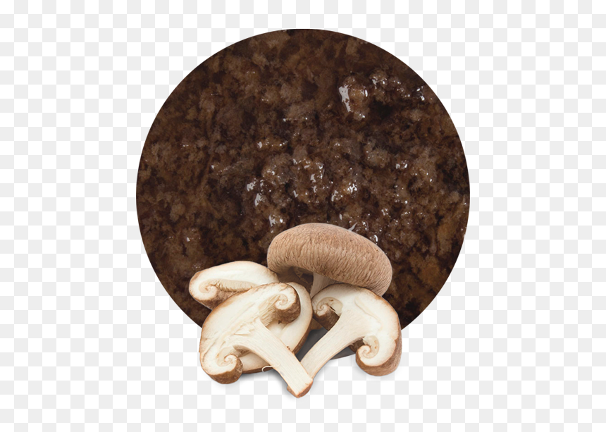 Mushroom Is Good Or Bad For Pregnant, HD Png Download - shiitake mushroom png