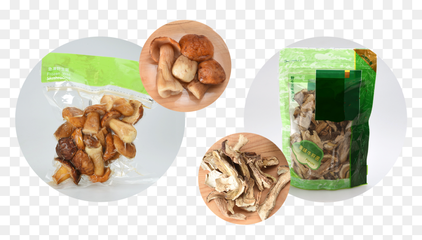 Dry Mushroom Hong Kong, HD Png Download - shiitake mushroom png