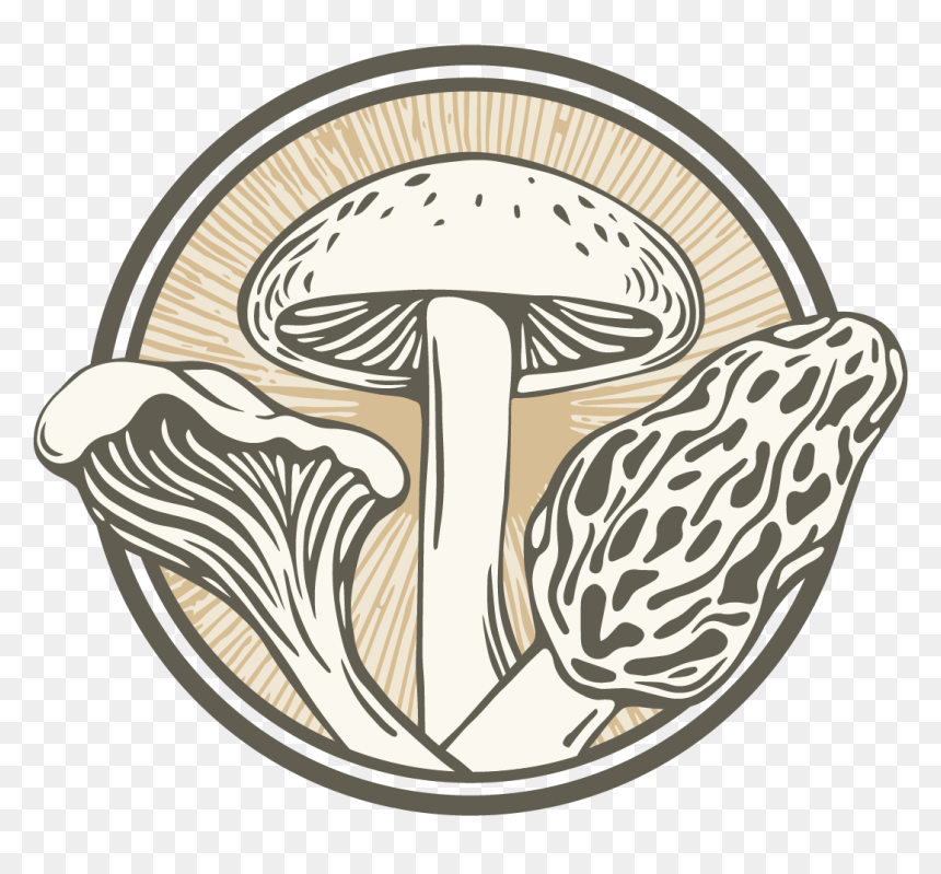 Shiitake, HD Png Download - shiitake mushroom png