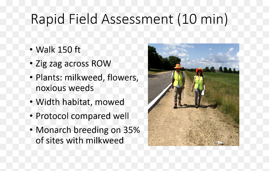 Nordic Walking, HD Png Download - milkweed png