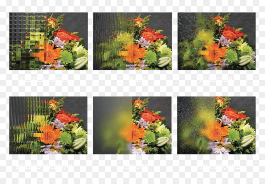 Tropical Milkweed, HD Png Download - milkweed png