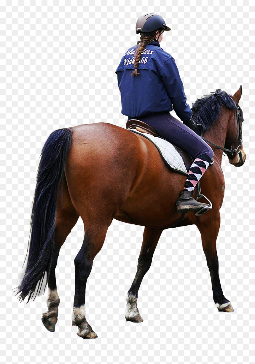Riding Horse Png, Transparent Png - 3d people png