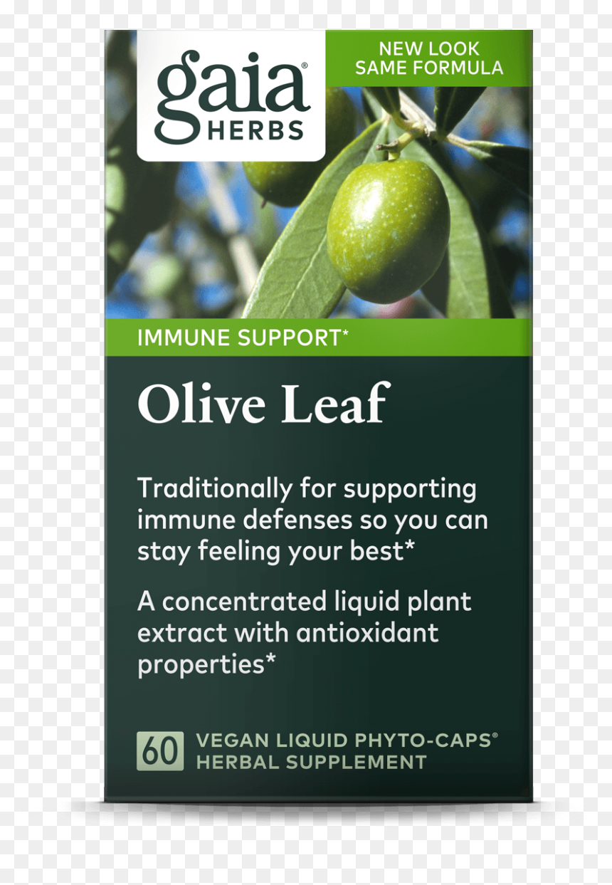 Gaia Herbs, HD Png Download - olive leaf png