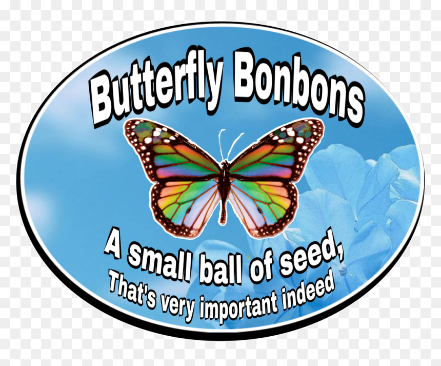 Butterfly, HD Png Download - milkweed png