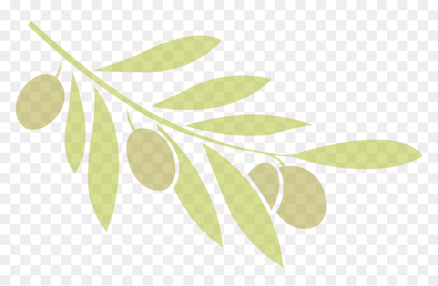 Olive, HD Png Download - olive leaf png