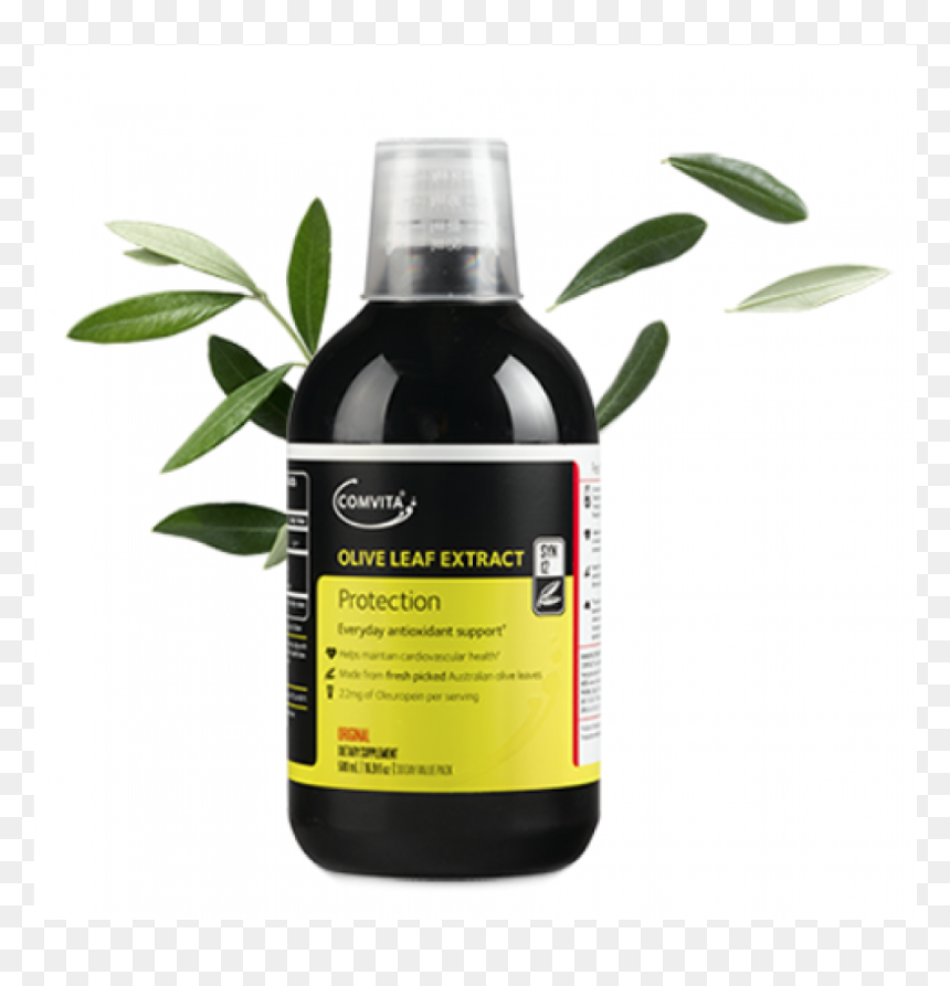 Glass Bottle, HD Png Download - olive leaf png