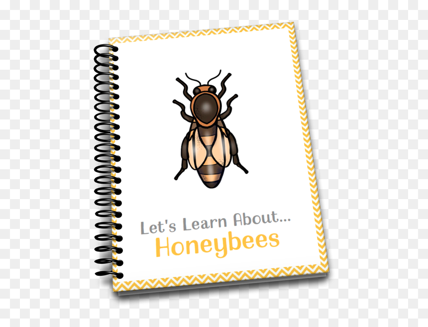 Scarabs, HD Png Download - buzzing bee png