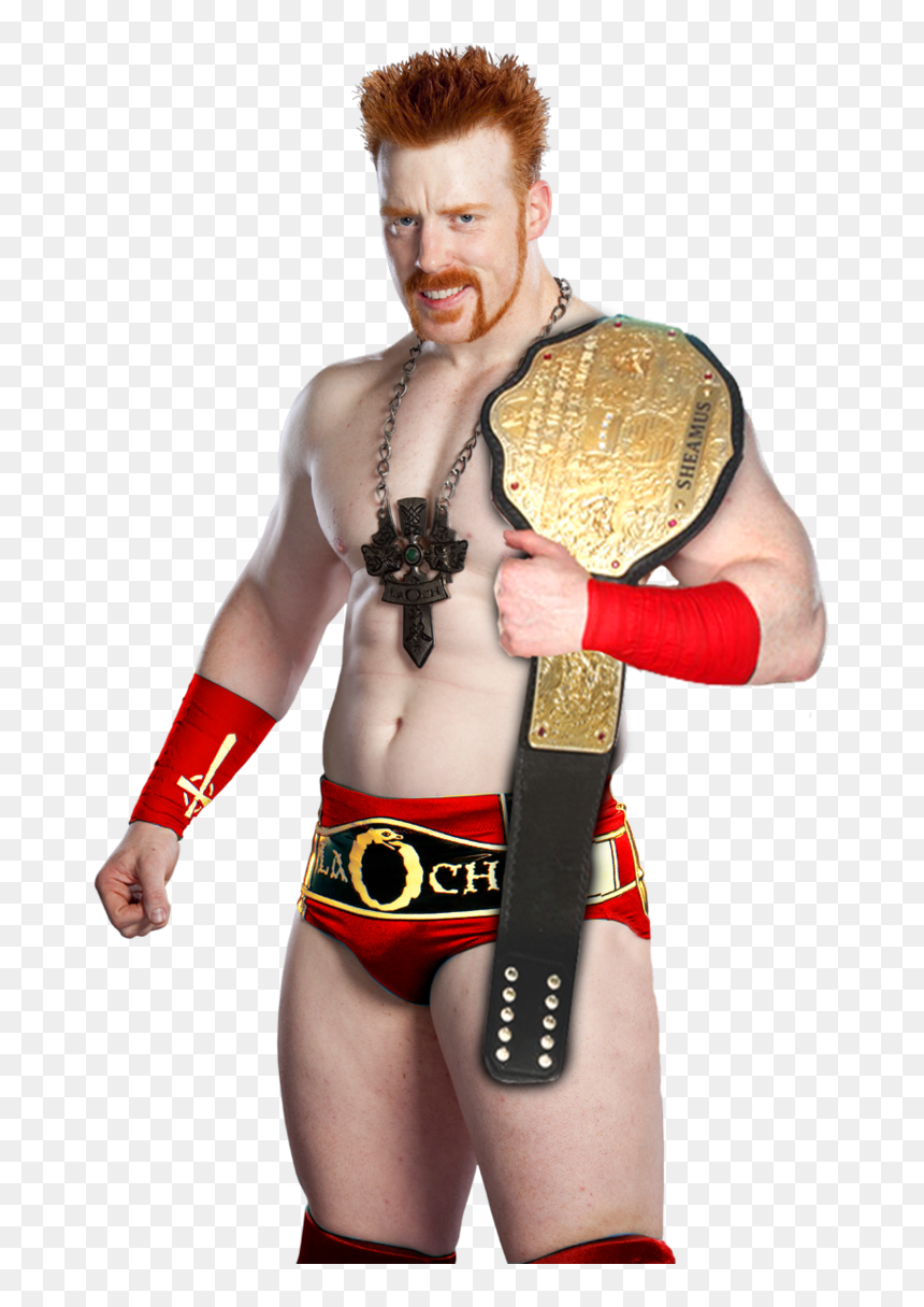 Heavyweight Champion Wwe Sheamus, HD Png Download - wwe wrestlers png