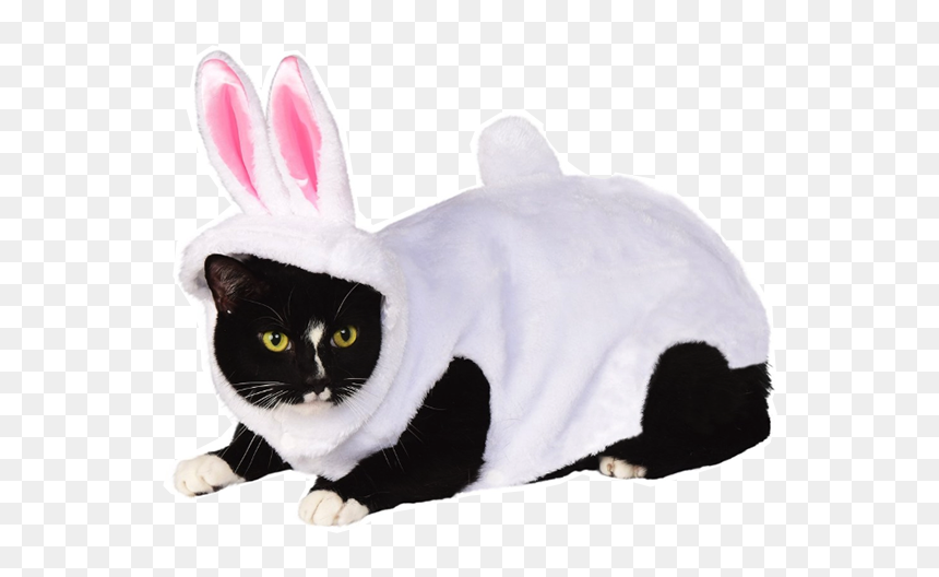 Asian, HD Png Download - black cat ears png