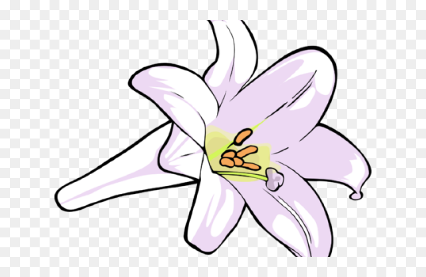 Lily, HD Png Download - easter lilies png