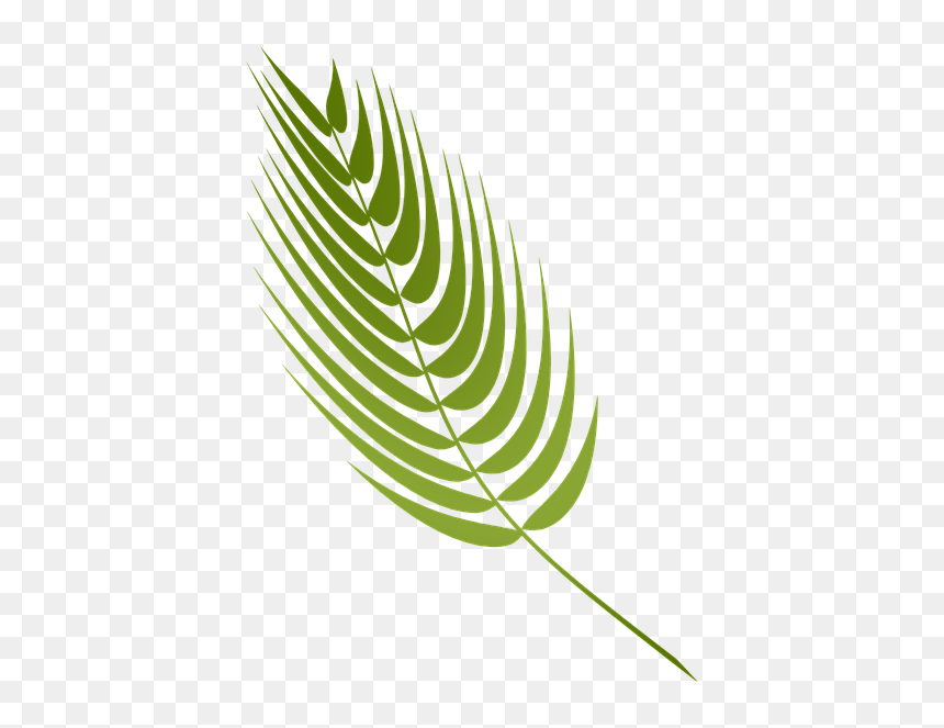 Illustration, HD Png Download - easter lilies png