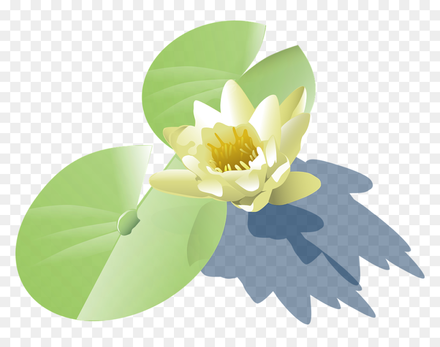 Lily Pad Clip Art, HD Png Download - easter lilies png