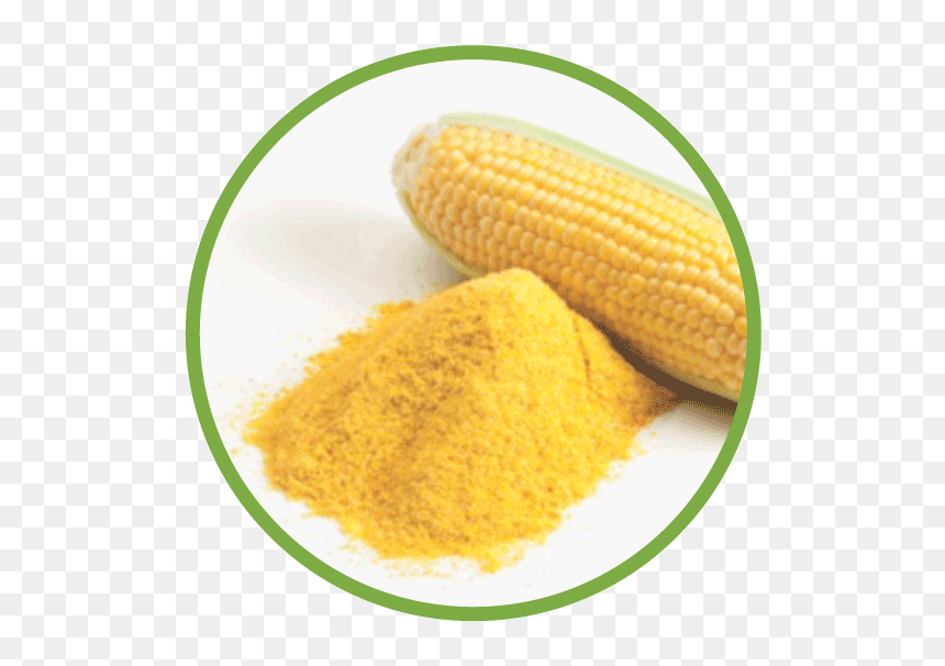 Tensive Srl, HD Png Download - corn kernel png