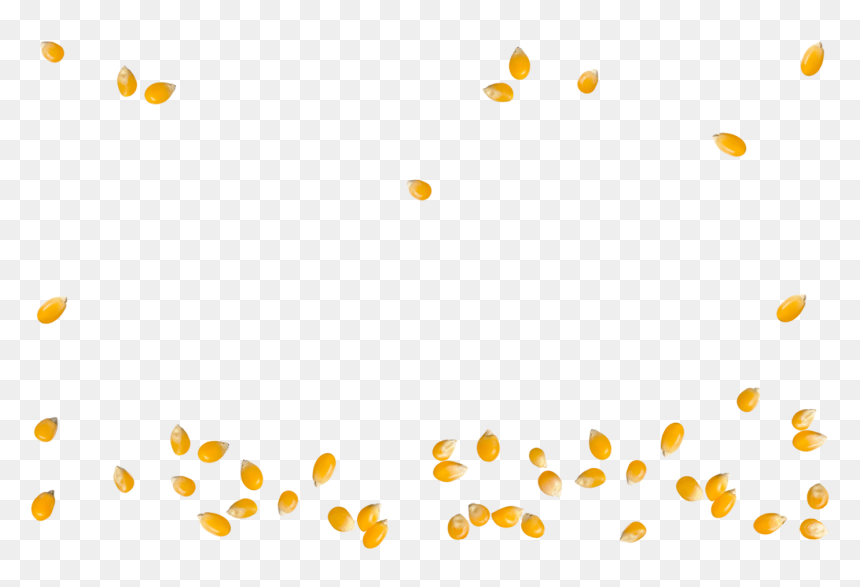 Clip Art, HD Png Download - corn kernel png
