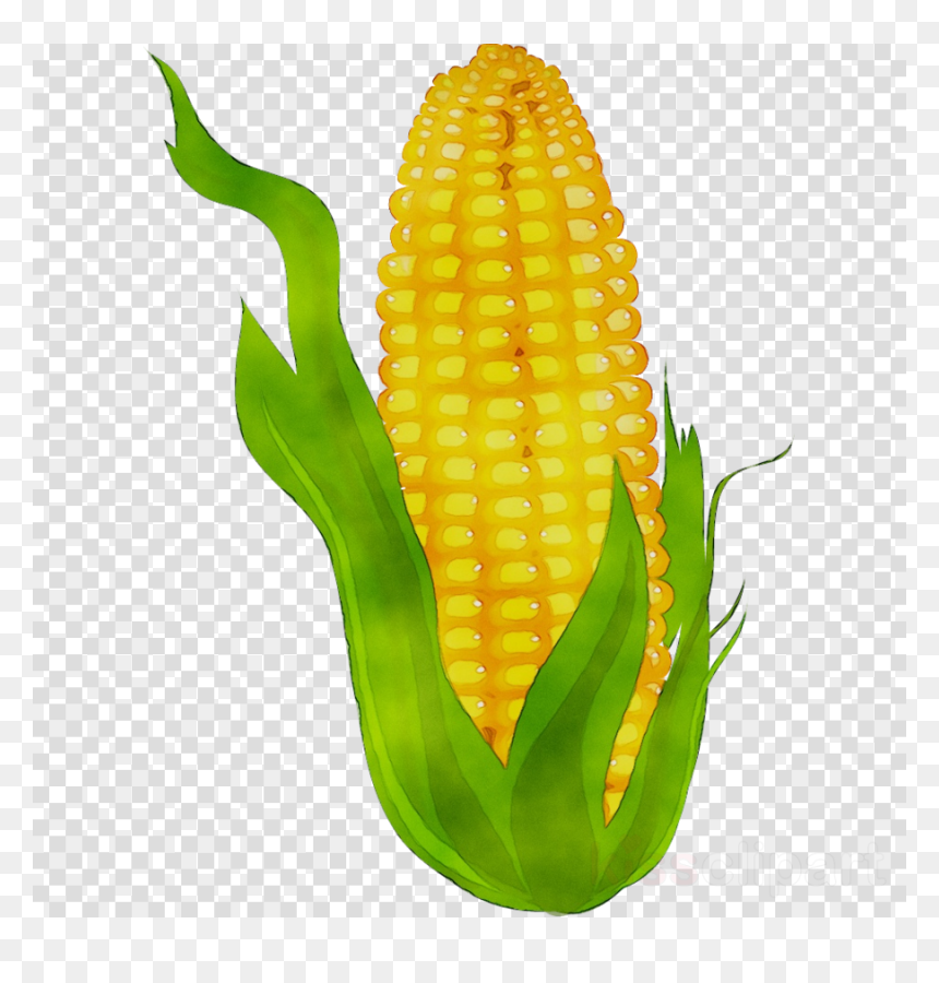 Cute Circle Shape Clipart, HD Png Download - corn kernel png