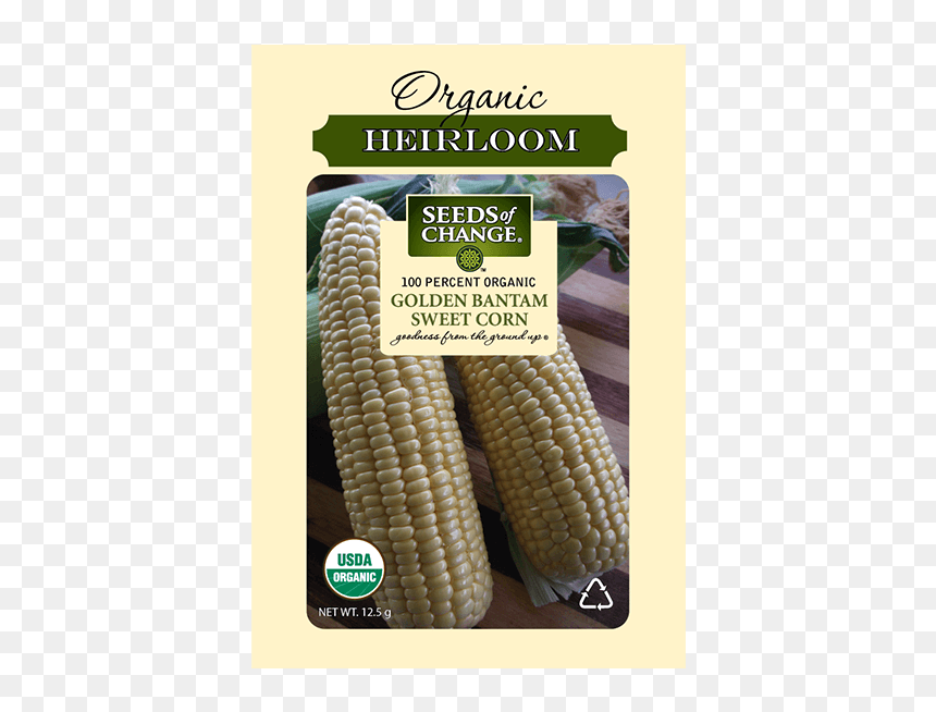 Seeds Of Change, HD Png Download - corn kernel png