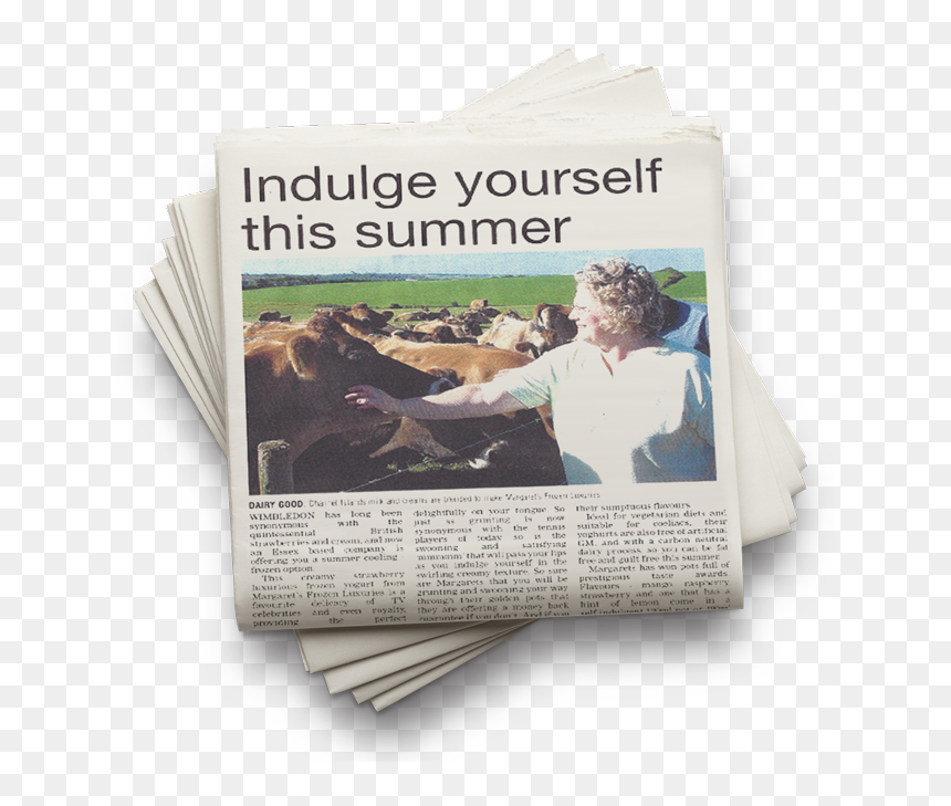 Newsprint, HD Png Download - tambourine png