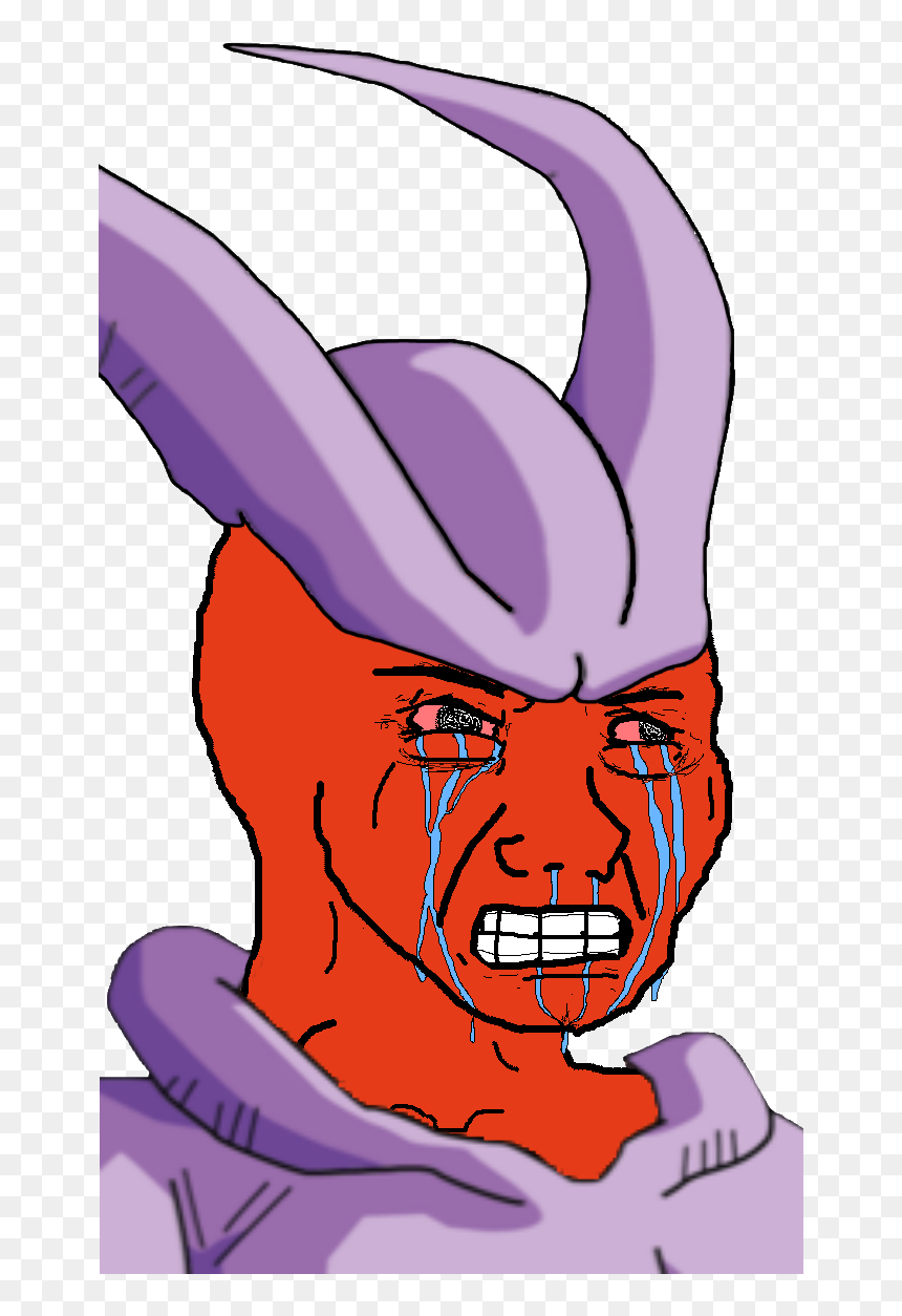 Kirchnerista Llorando, HD Png Download - videl png