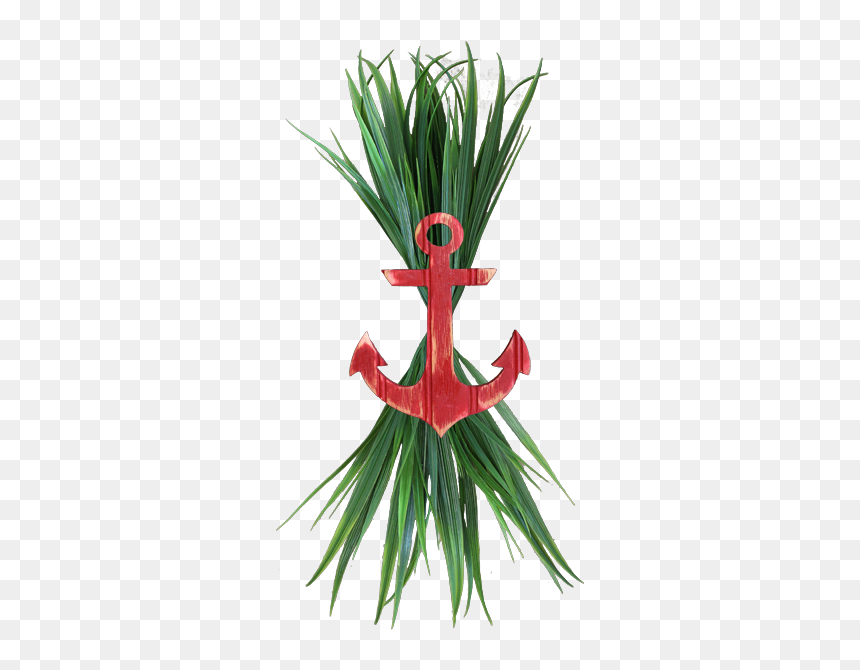 Heliconia, HD Png Download - sea grass png