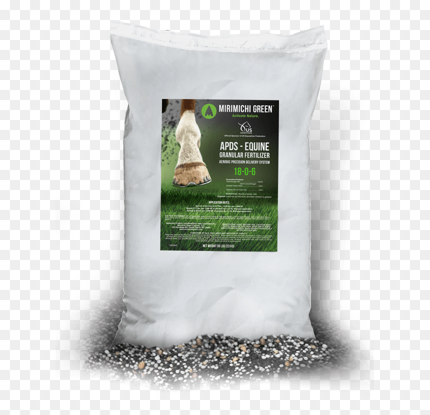 Grass, HD Png Download - sea grass png