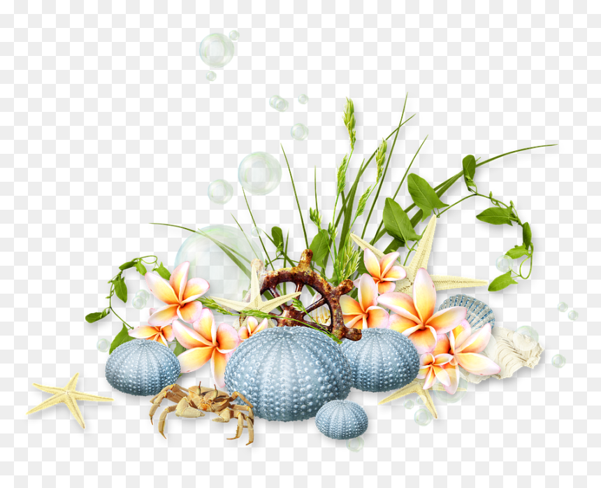 Grass, HD Png Download - sea grass png
