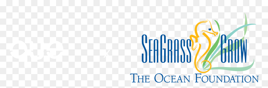 Parallel, HD Png Download - sea grass png