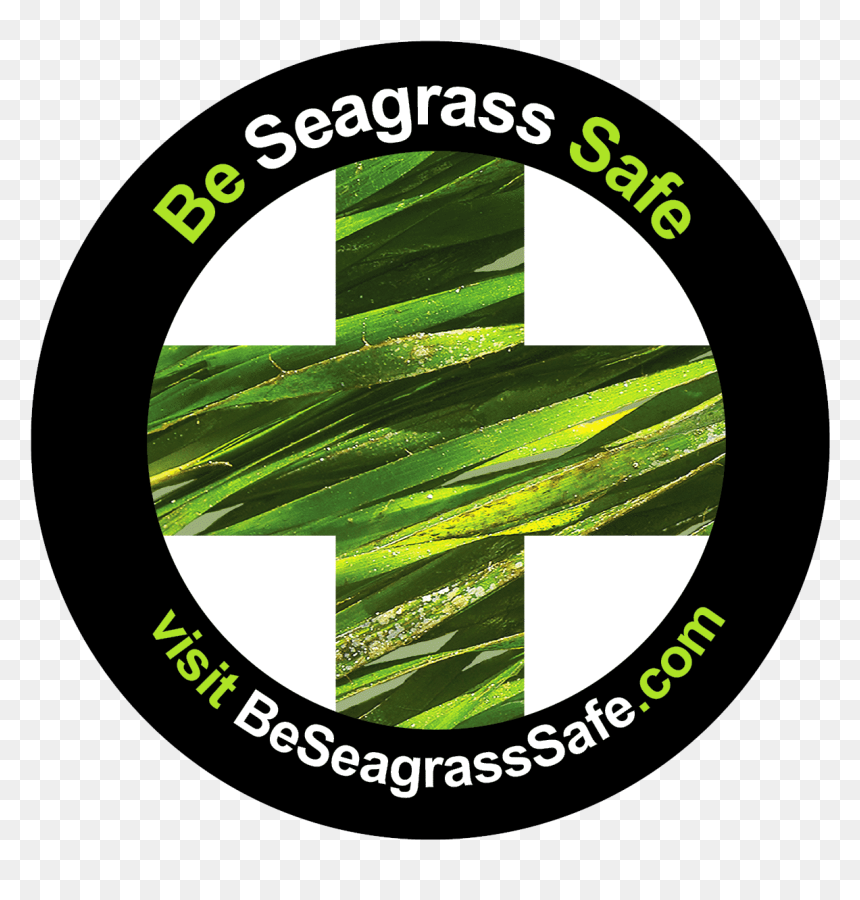 Cisco Systems, Inc., HD Png Download - sea grass png