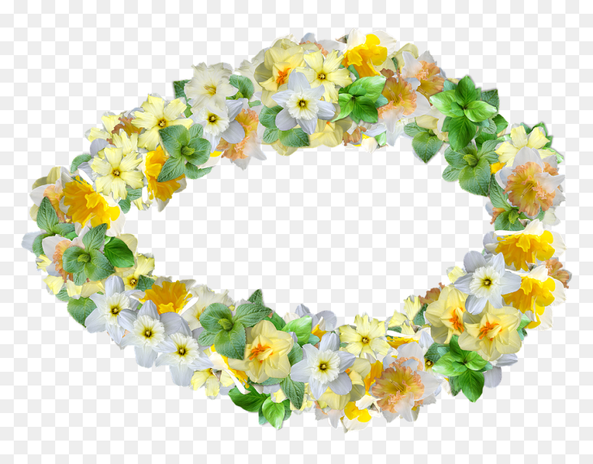Sunflower, HD Png Download - narcissus png