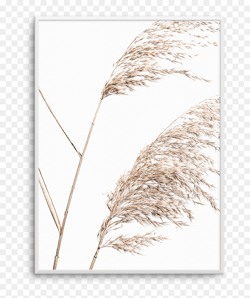 Art, HD Png Download - sea grass png