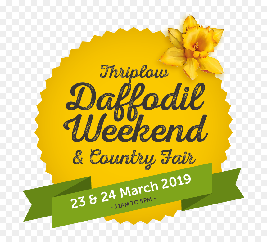 Thriplow Daffodil Weekend 2019, HD Png Download - narcissus png