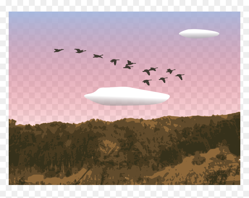 Goose, HD Png Download - geese flying png