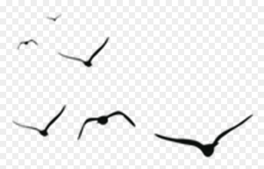 Birds Vector Png, Transparent Png - geese flying png