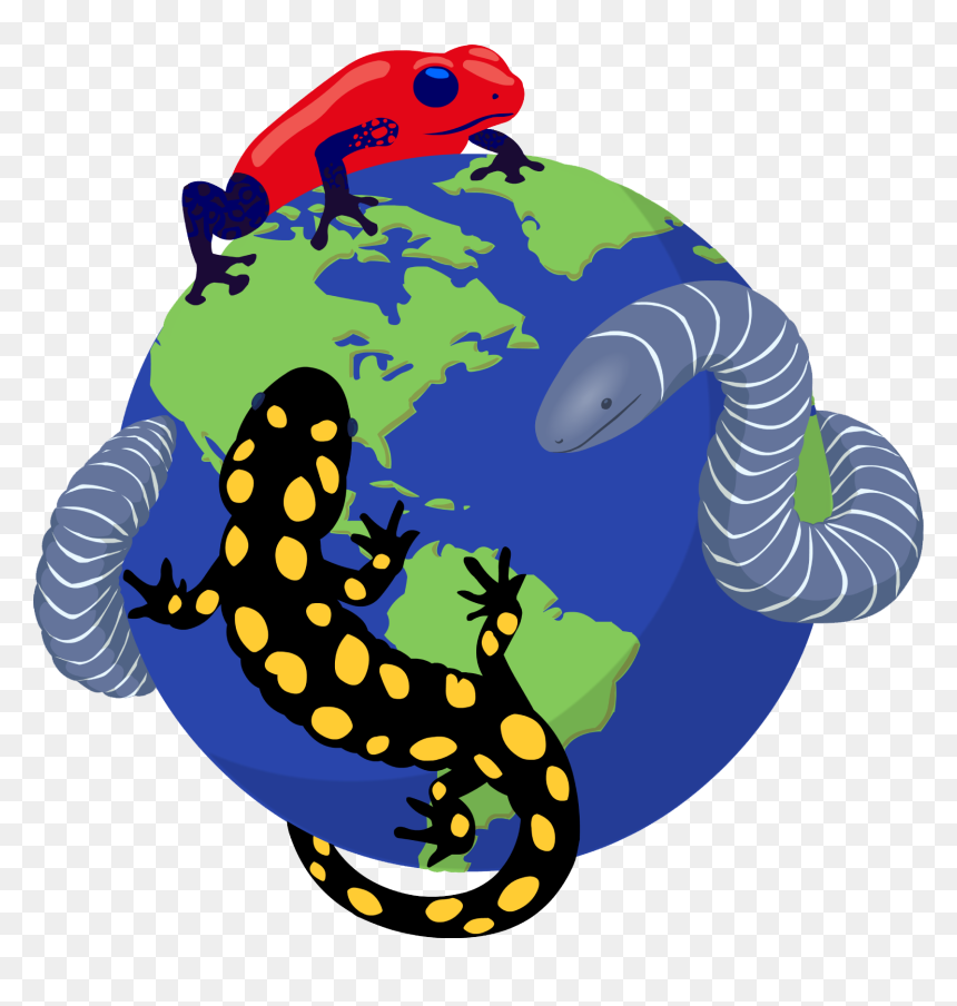 Amphibiaweb Logo, HD Png Download - arturo vidal png