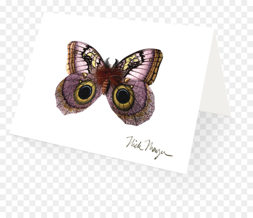 American Painted Lady, HD Png Download - moth wings png