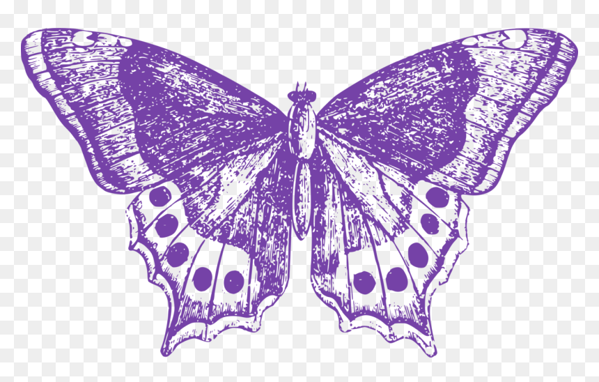 Lepidoptera, HD Png Download - moth wings png