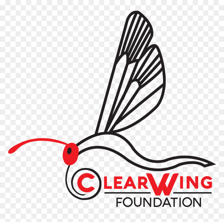 Line Art, HD Png Download - moth wings png