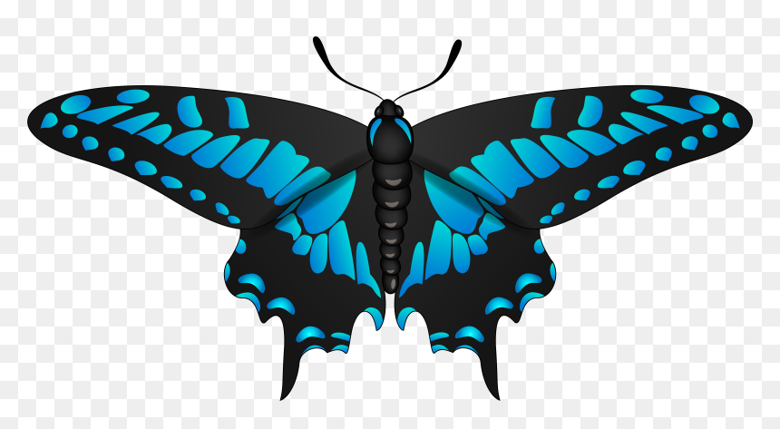 Clip Art, HD Png Download - moth wings png